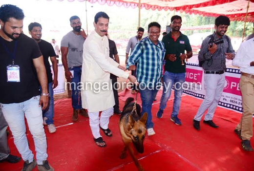 Dogs show 1